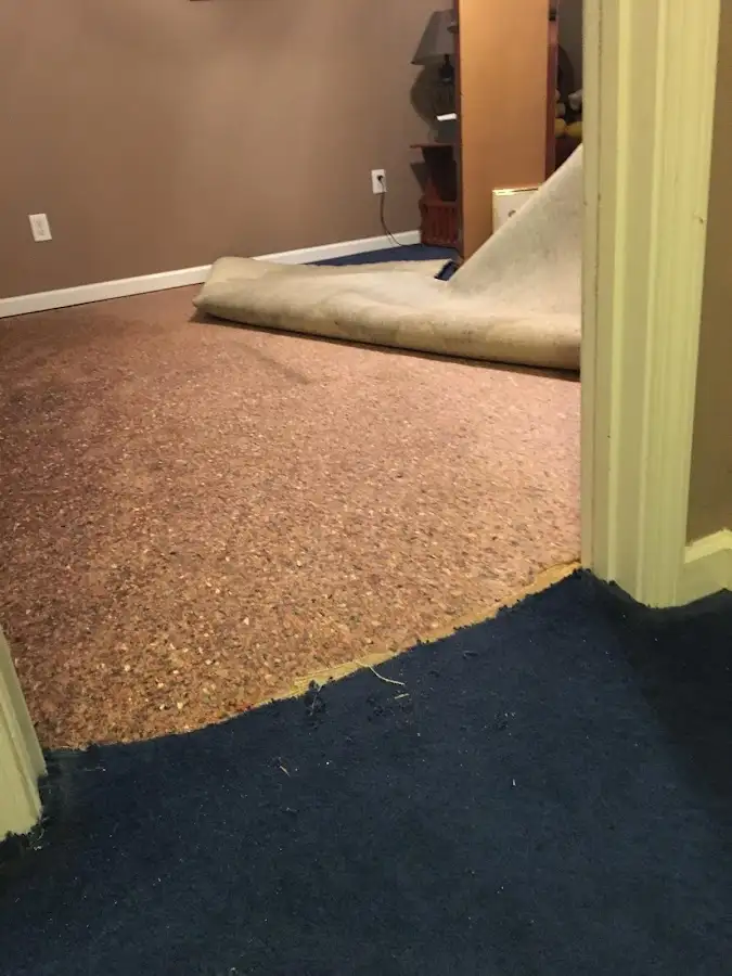 Carpet pad removal revealing water damage during Water Mitigation Services in Chevy Chase