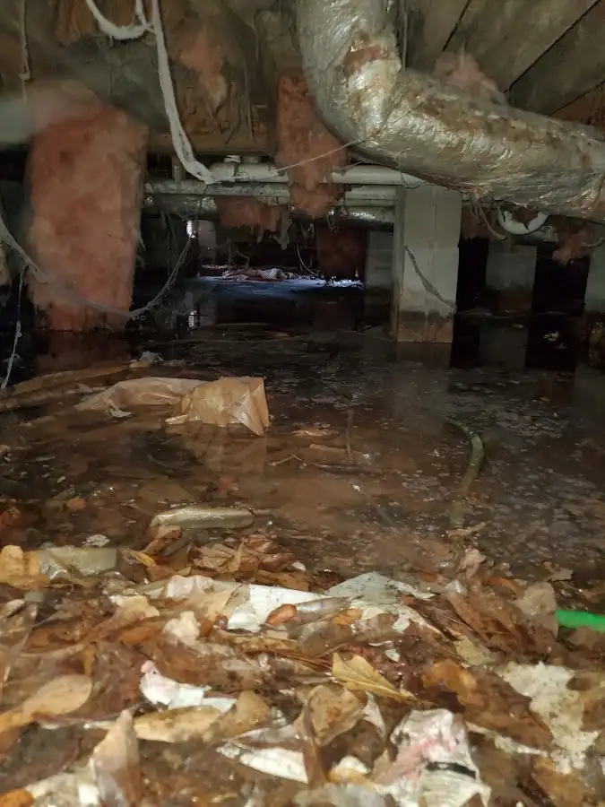 Crawl space flood assessment for Leak Detection & Repair in Chevy Chase