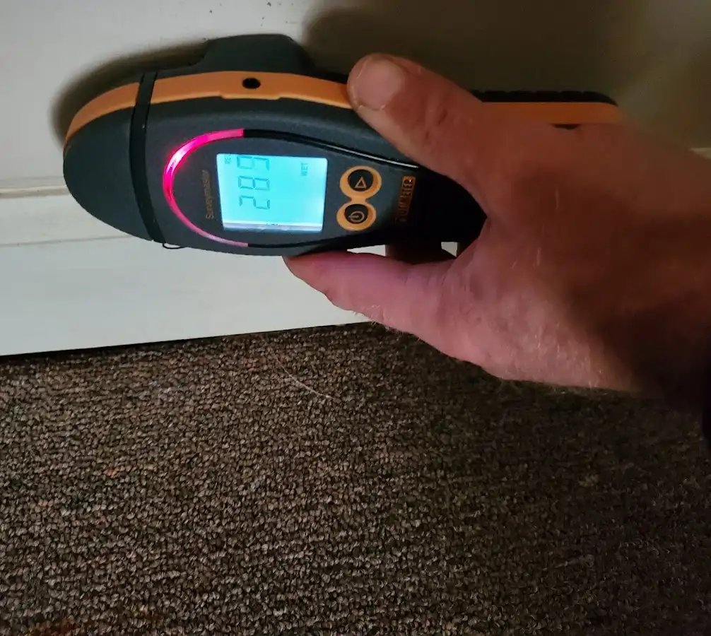 Moisture detection at baseboard during Mold Inspection & Testing in Chevy Chase